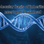 How to get Molecular basis of inheritance ncert pdf